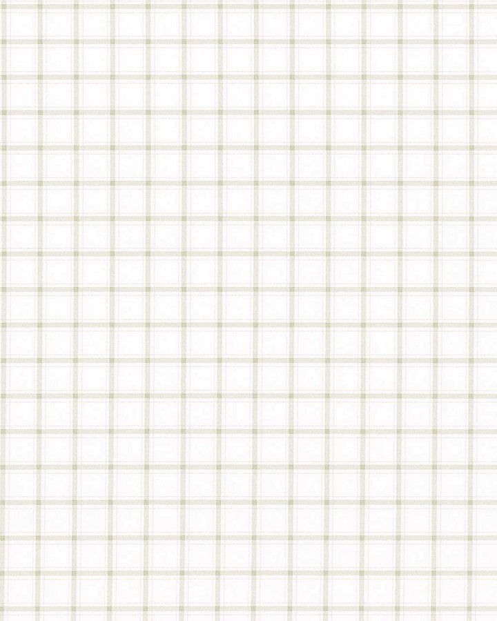 "The Shore" White with Tan Windowpane